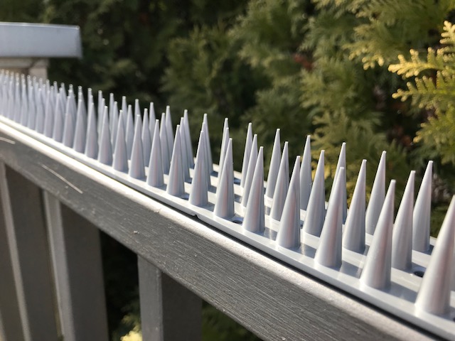 WYSOKIE KOLCE NA PTAKI GOŁĘBIE KUN KOLORÓW 10 SZT 5 METRÓW KOLOR