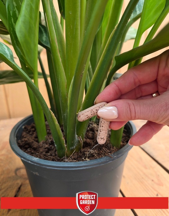 SANIUM PIN 2w1 Pałeczki Owadobójcze + Nawozowe na Ziemiórki MEGAPAKA