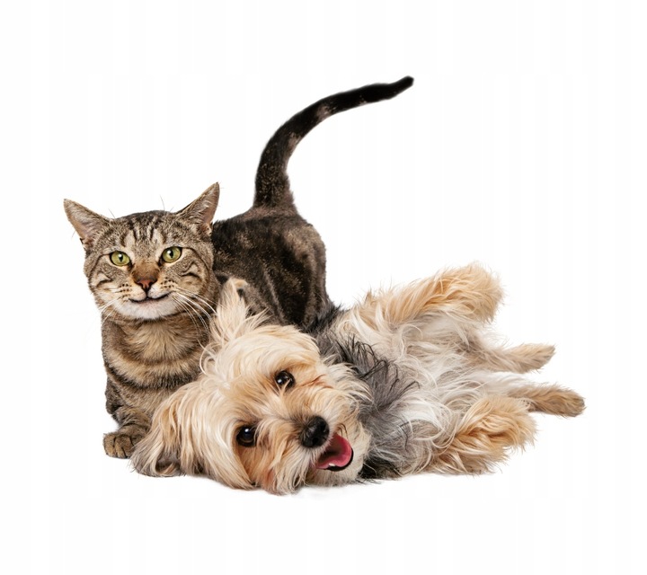 Neutralizator zapachów pochodzenia zwierzęcego