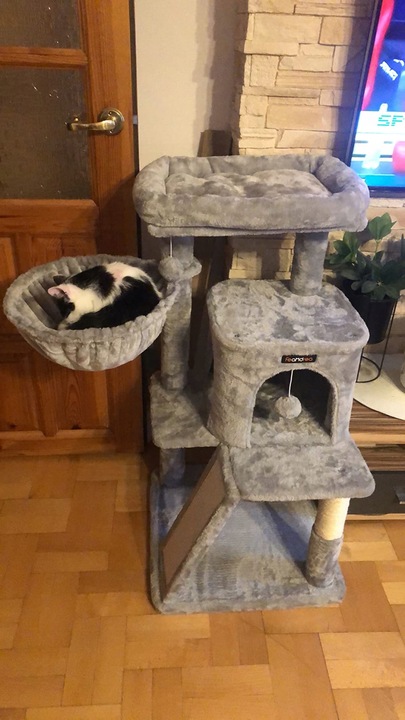 DRAPAK DLA KOTA DUŻY LEGOWISKO DOMEK ZABAWKA WIEŻA SŁUPEK 3 POZIOMY 96cm