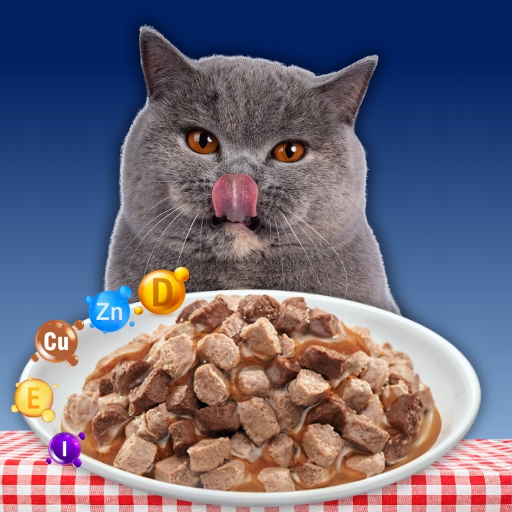 MOKRA KARMA DLA KOTA MEGA BOX MIX SMAKÓW 24X100G SASZETKI DLA KOTA