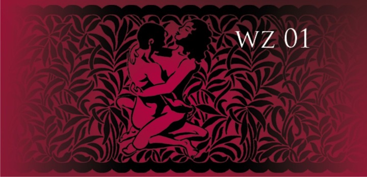 Pończochy Gatta ARS AMANDI Calze 01 r. 3-4 opakowanie w formie książki