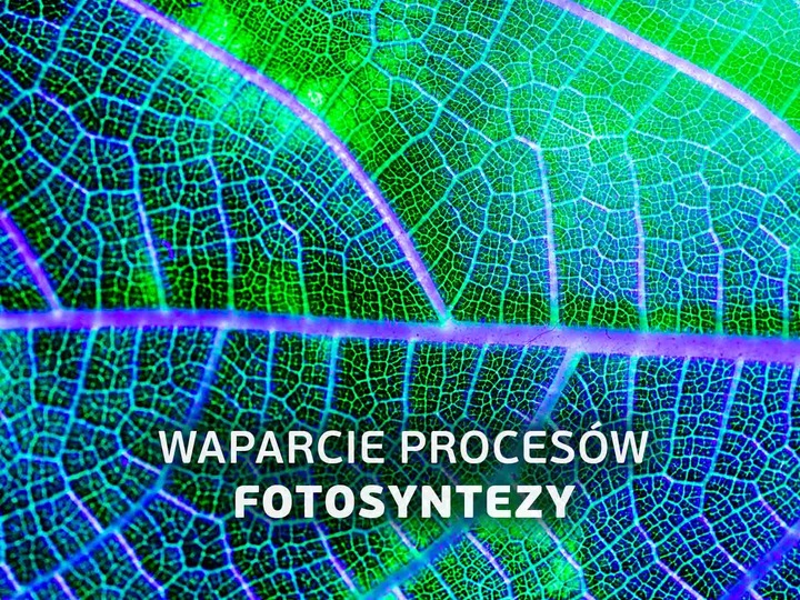 Przewód Kabel Zasilający ze Sterownikiem LED PC do Lampy Growly 3m