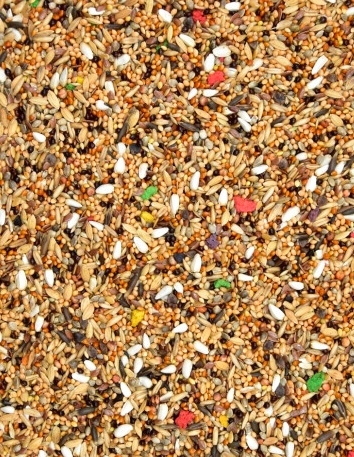 karma dla papug średnich bez słonecznika MDM PŚ-BS 1 x 10kg fa