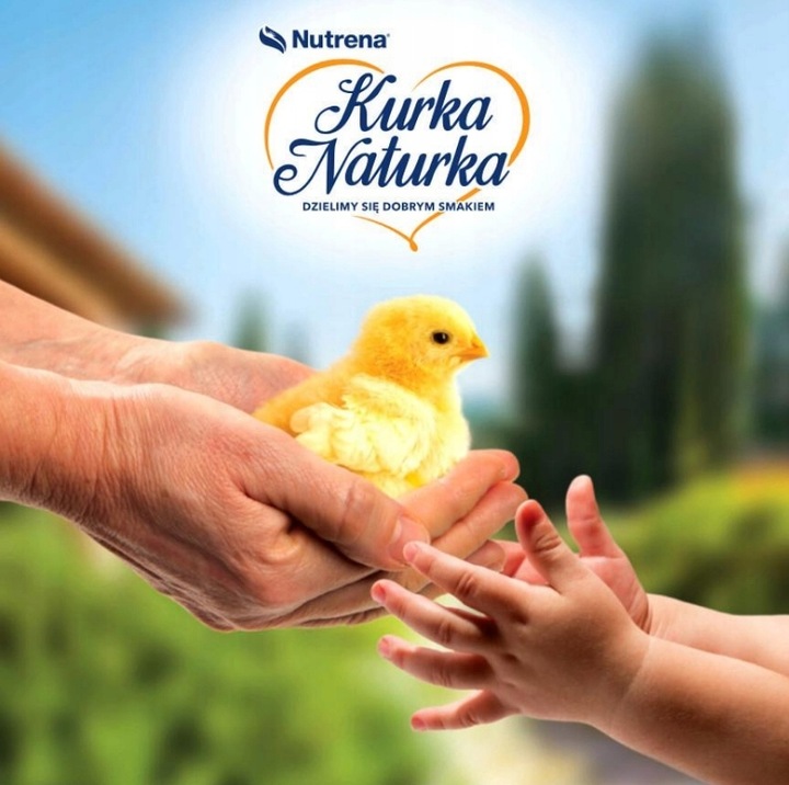 Pasza startowa Kurka Naturka Pisklę Karma Nutrena dla kur kurczaków 25kg