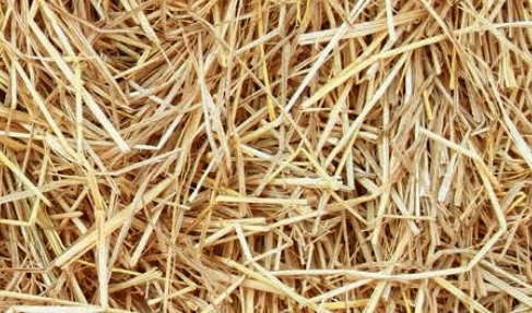 ŻWIREK PELET BIO EKO Słoma 15kg