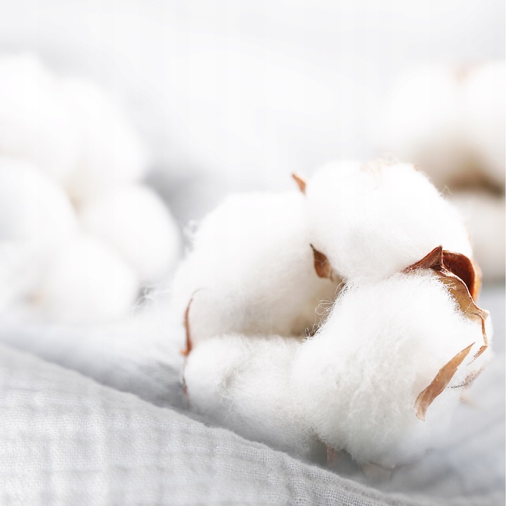 Plumeri Pieluszki muślinowe zestaw kolorów 10 szt. 50x30 cm