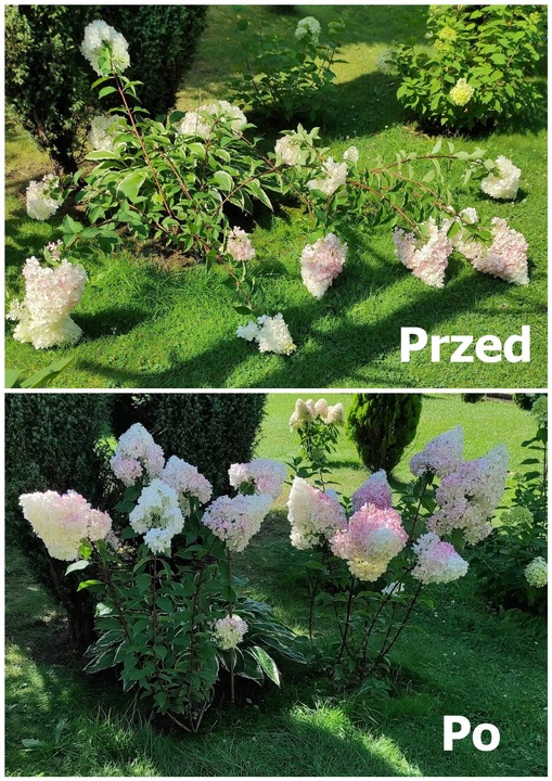 OBEJMA DO ROŚLIN FI 6 ZIELONA 50 SZT.