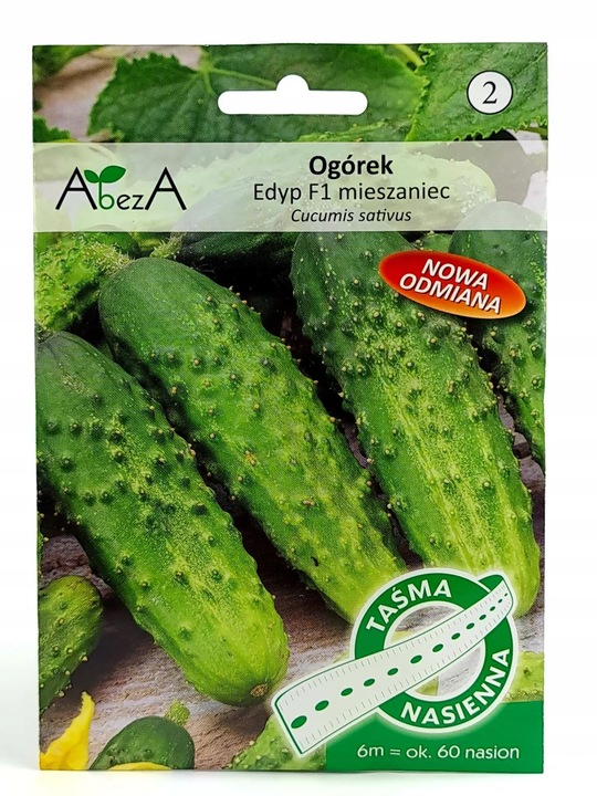 ZESTAW 2240 Sprawdzonych Nasion Warzyw na taśmie