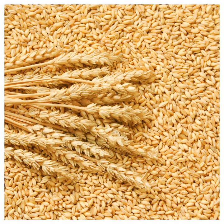 EKO Mąka Pszenna TYP 650 Chlebowa 5KG PROSTO Z MŁYNA Ekologiczna