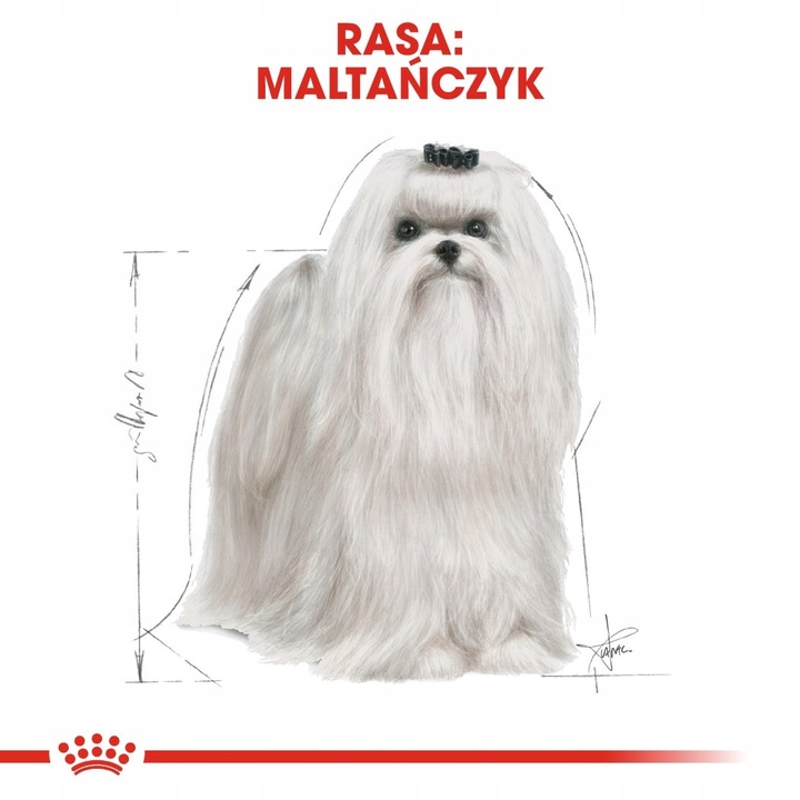 Royal Canin Maltese Adult 1,5kg Karma Sucha Dla Psów Rasy Maltańczyk