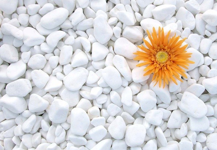 KAMIEŃ BIAŁY THASSOS OTOCZAK GRECKI DO OGRODU DEKORACYJNY 2-4cm 20kg