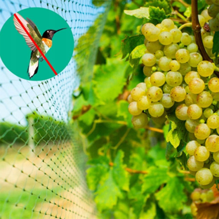 OCHRONNA SIATKA NA PTAKI GOŁĘBIE 10X10M MOCNA PRZECIW PTAKOM SZPAKOM