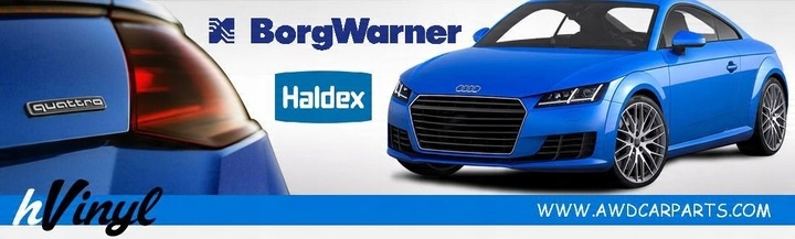 BorgWarner Oringi do pomp Haldex 5 i 6 generacji + Śruby pompy 5 gen GRATIS