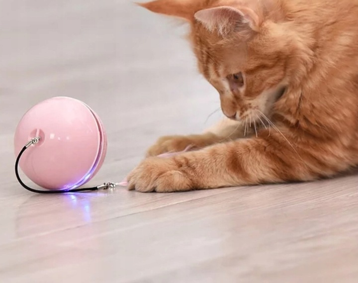 INTERAKTYWNA ZABAWKA PIŁKA DLA KOTA + DODATKI