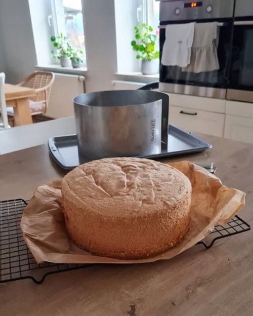 RANT OPASKA DO PIECZENIA TORTU REGULOWANA DOROSIOWE RANTY 12-15 H14cm