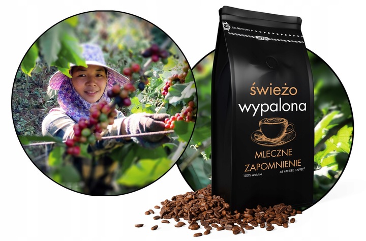 Kawa ziarnista do mleka 1kg ARABICA ŚWIEŻO PALONA Mleczne zapomnienie
