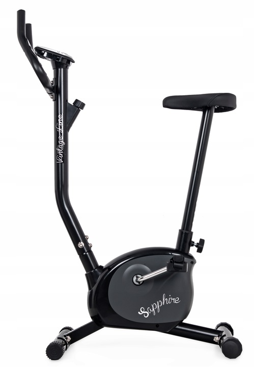 ROWER stacjonarny VINTAGE rowerek TRENINGOWY pionowy SAPPHIRE do