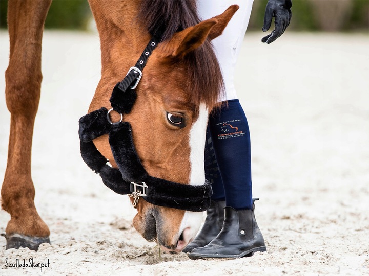 Wygodne skarpetki dziecięce do jazdy konno na lato z mikrofibry od Comodo