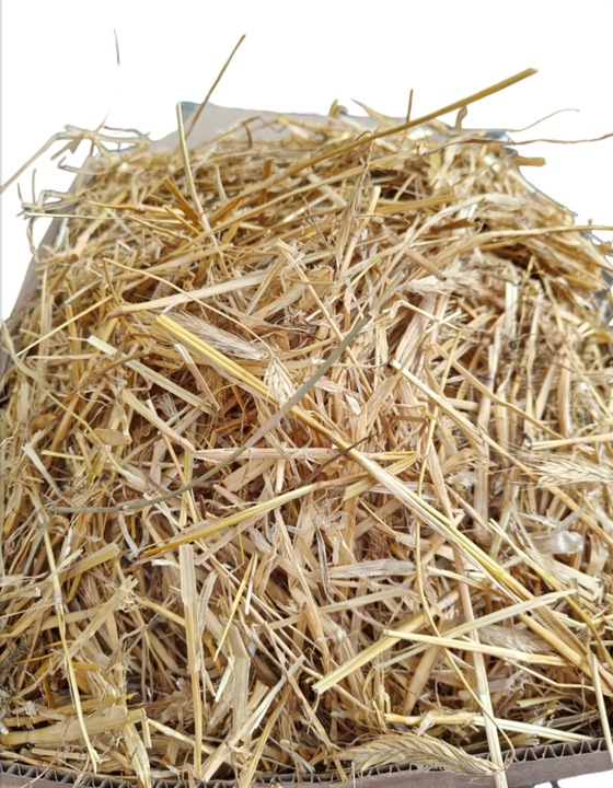 Słoma na kompost, do budy, Legowisko dla psa, Ściółka Dla Gryzoni, 80L