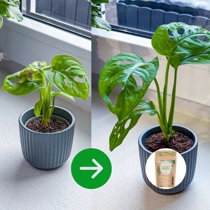 CocaShield Odżywka Do Roślin Ochrona ANTY - Szkodnik Niesamowicie