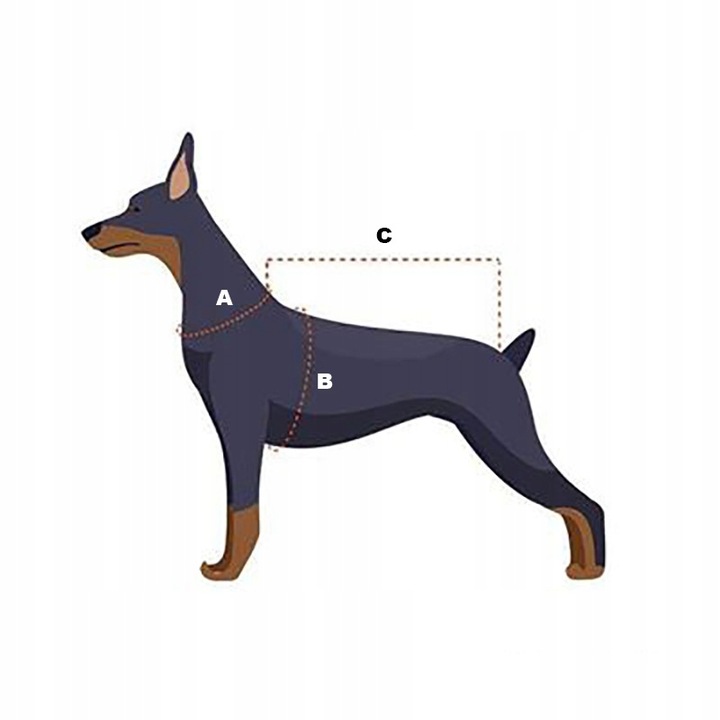 MIĘKKIE UBRANKO POOPERACYJNE DLA KOTA MOLLY S