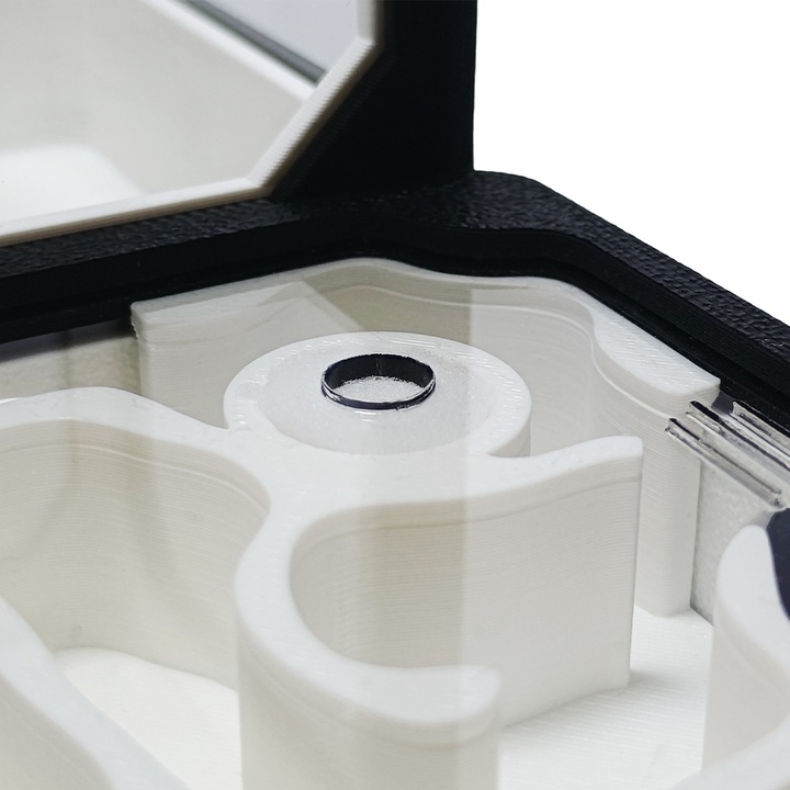 Formikarium AVERAGE L - Terrarium Dla Mrówek Modułowe 210x140