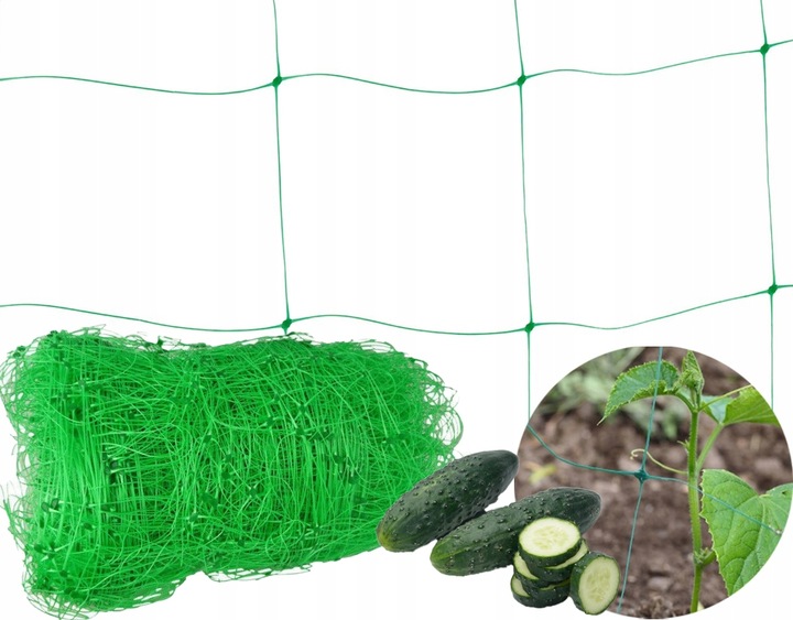 Siatka Podpora warzyw roślin pnących 2x10m 15x17cm AS-CN08151720010