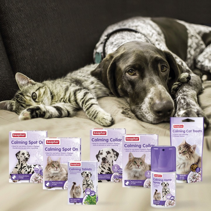 Beaphar Calming Home Spray relaksacyjny dla kotów 125 ml