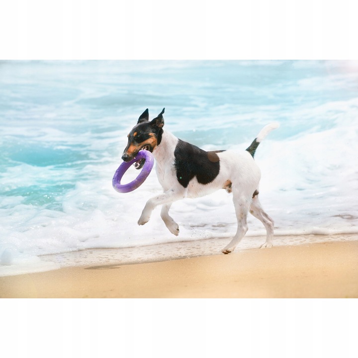 Szarpak dla psa PULLER midi 19,5 cm ring 2 szt. dla średnich ras psów