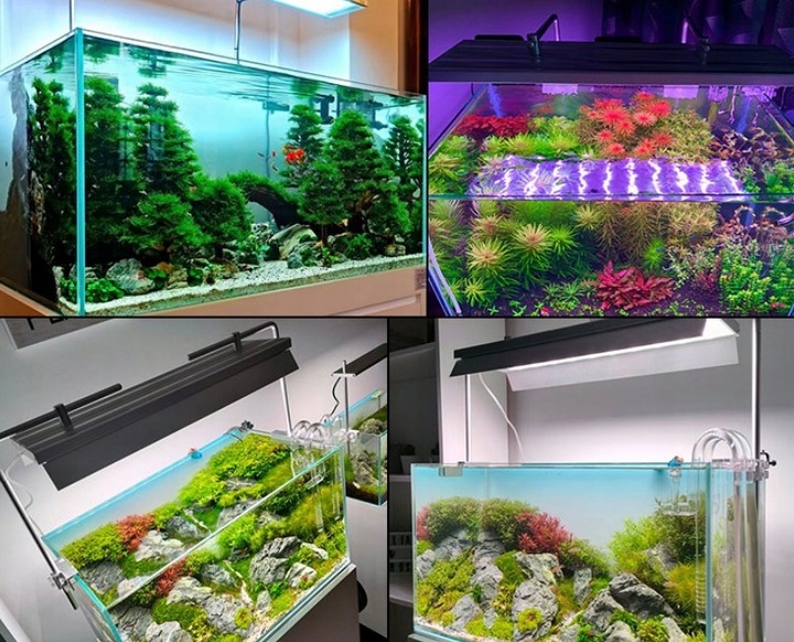 Świetlówka LED oświetlenie AKWARIUM 8520 50cm