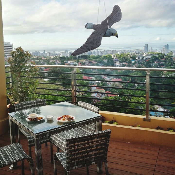 DUŻY ODSTRASZACZ PTAKÓW GOŁEBI SZPAKÓW SOKÓŁ W LOCIE + EFEKT