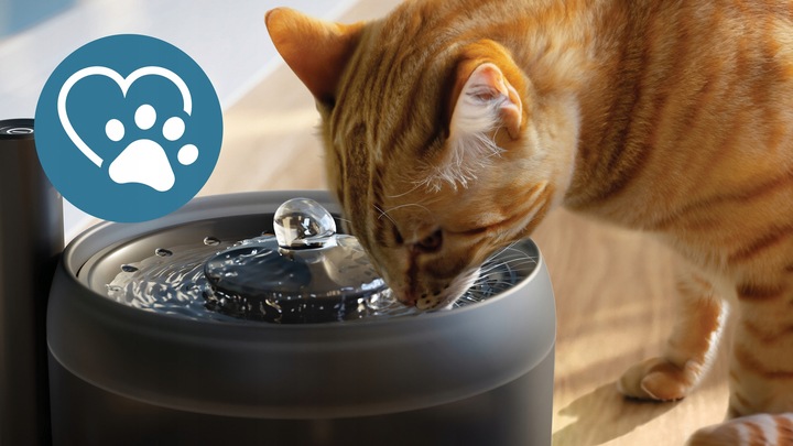 FONTANNA DLA ZWIERZĄT PHILIPS PAW3210/02 POIDEŁKO AUTOMATYCZNE Z