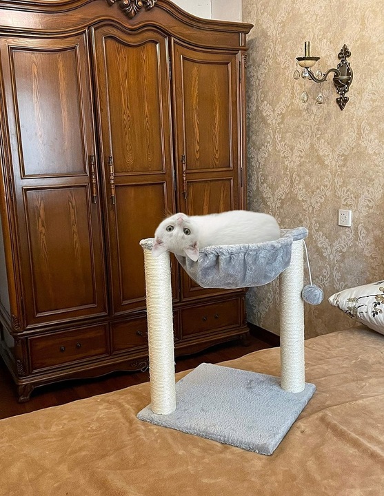 Drapak dla kota legowisko domek budka 53cm (F062)