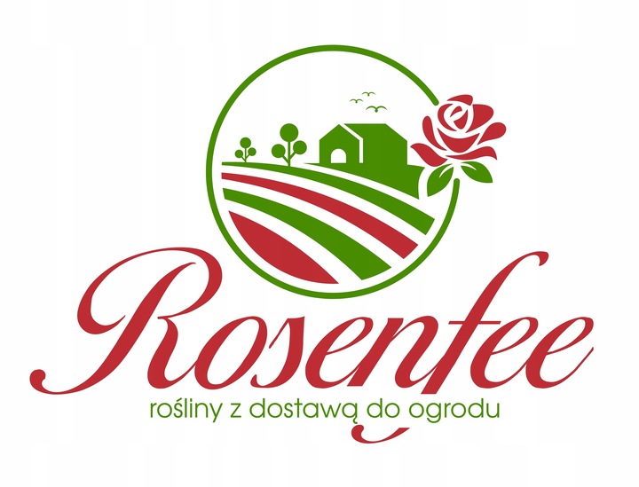 Jałowiec płożący 'Golden Carpet' (Juniperus horizontalis)