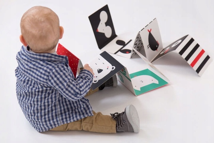 CZUCZU STARTER MALUCHA KSIĄŻECZKI SENSORYCZNE KONTRASTOWE 0M+