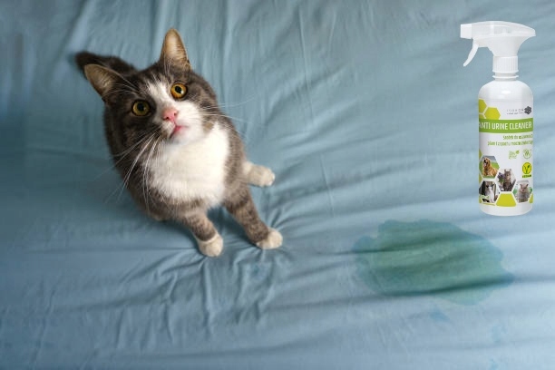 POCHŁANIACZ ZAPACHÓW MOCZU KOTA 500ml ISOKOR ANTI URINE CLEANER NATURALNY