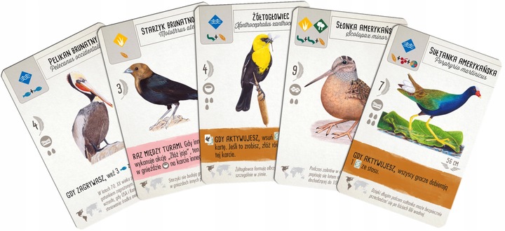 Gra planszowa Rebel Na skrzydłach