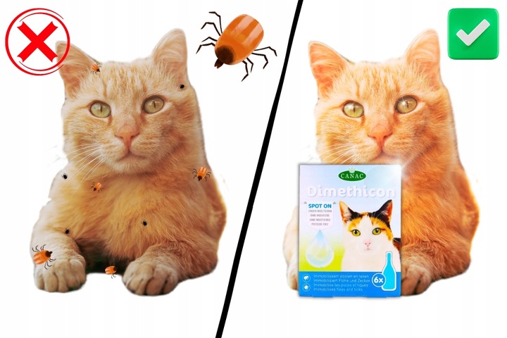 PREPARAT PRZECIW PCHŁOM I KLESZCZOM DLA KOTÓW NA KROPLE PCHŁY I KLESZCZE