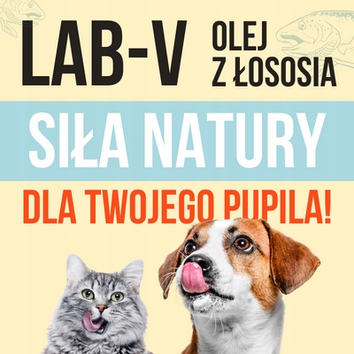 LAB V Olej z łososia dla psa i kota 5000ml 5L