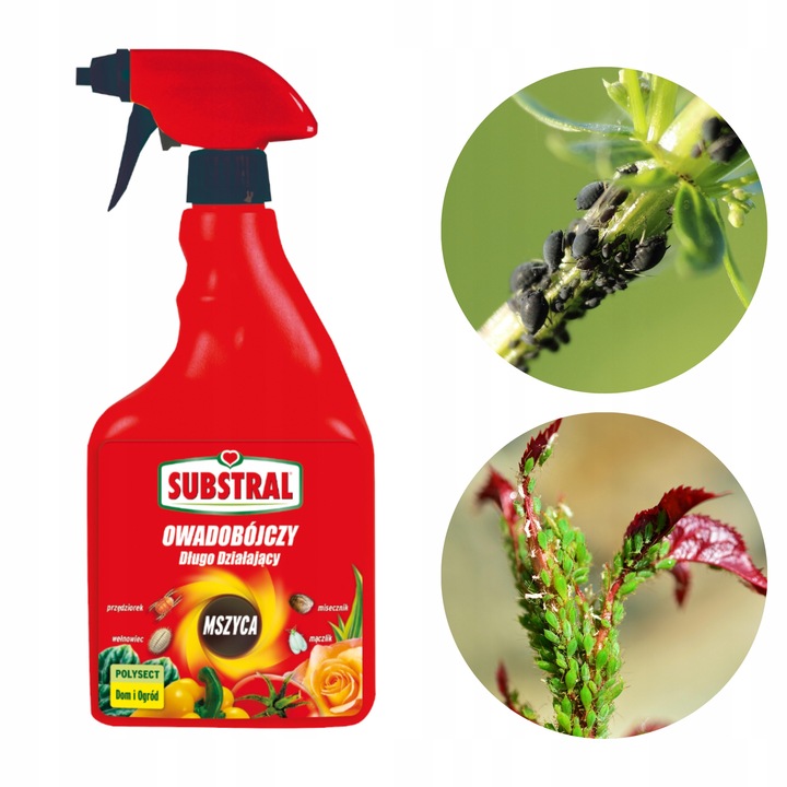 Substral Polysect Środek Oprysk Mszyce Przędziorki Wełnowce Mączliki