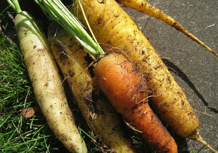 ZIEMIA UNIWERSALNA Do KWIATÓW warzyw OGRODOWA 65L Z NAWOZEM wysiew