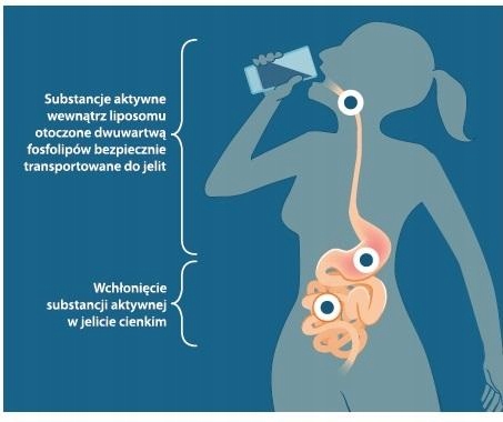 Aliness LIPOSOL LIPOSOMALNA WITAMINA C NA ODORNOŚĆ BUFOROWANA 1000mg 40sasz