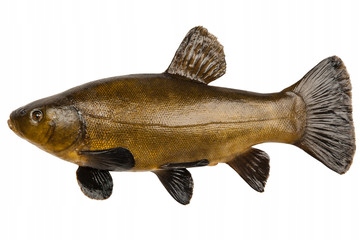 osmo pro method feeder dark pellet 2mm 1kg zanęta