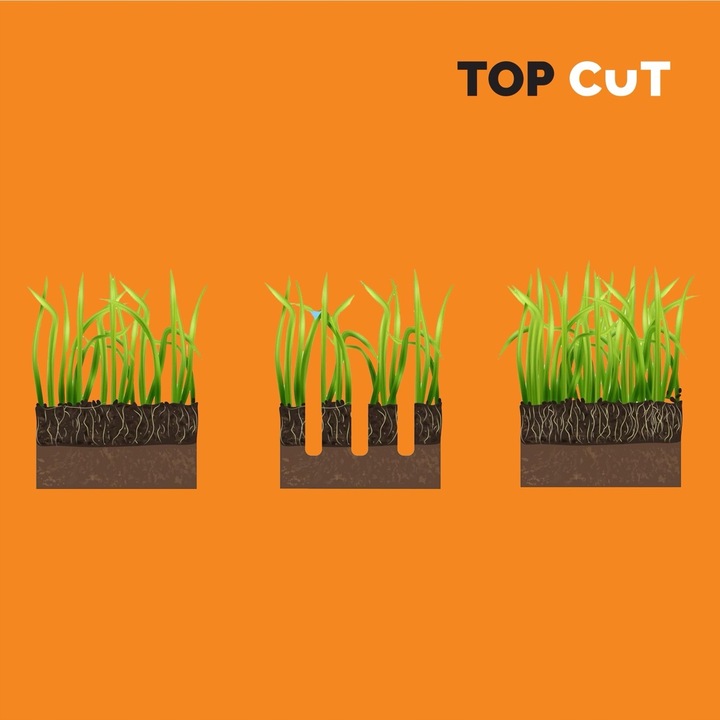 AERATOR WERTYKULATOR DO TRAWY ELEKTRYCZNY 1500W 32CM -12 MM +4 MM KOSZ