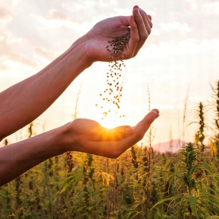 Wiejska Zagroda Karma sucha dla psa WOŁOWINA INDYK WARZYWA Małe rasy S 2kg