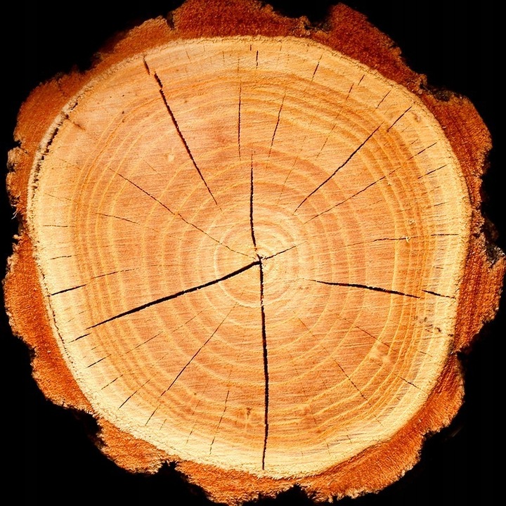 Perfumy damskie YODEYMA Boreal 15 ML