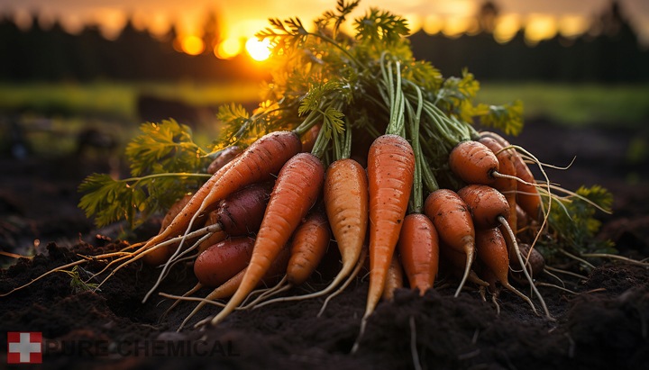 OLEJ Z NASION MARCHWI NIERAFINOWANY TŁOCZONY NA ZIMNO 100ml