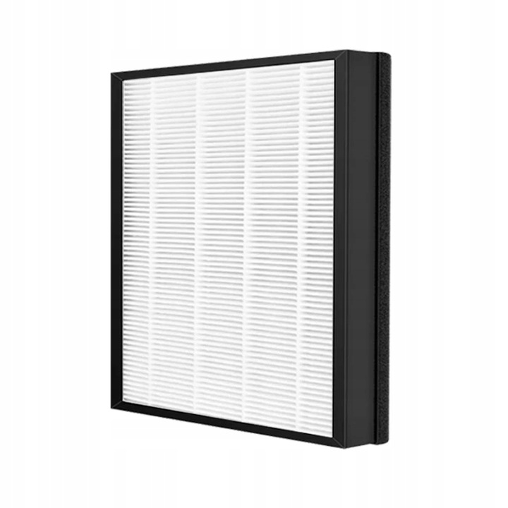 Filtr HEPA/węglowy CFX-D100 do Samsung AX60R5080WD