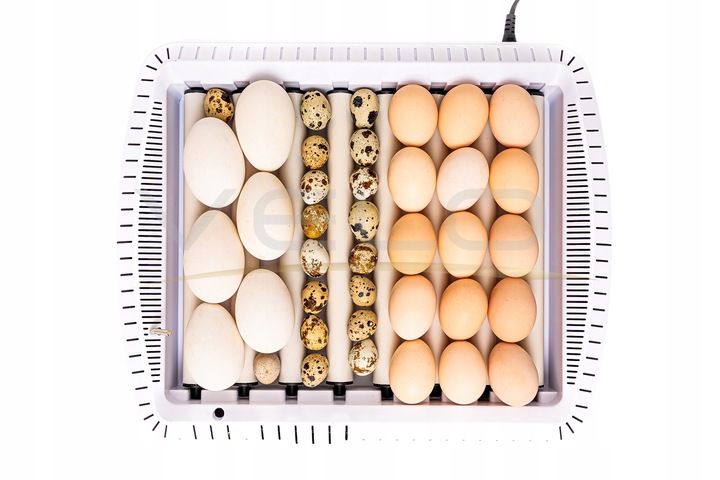 INKUBATOR AUTOMATYCZNY VELO na 35 JAJ do KURZYCH INDYCZYCH GĘSICH KACZYCH